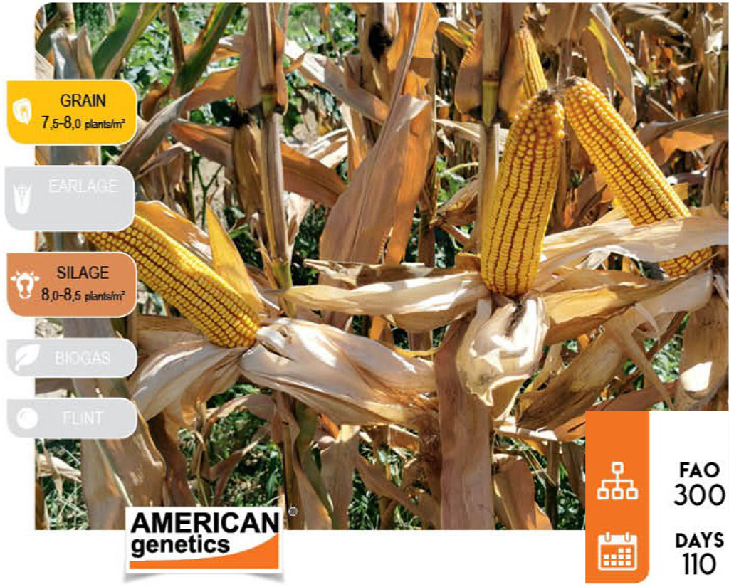 agn340-corn
