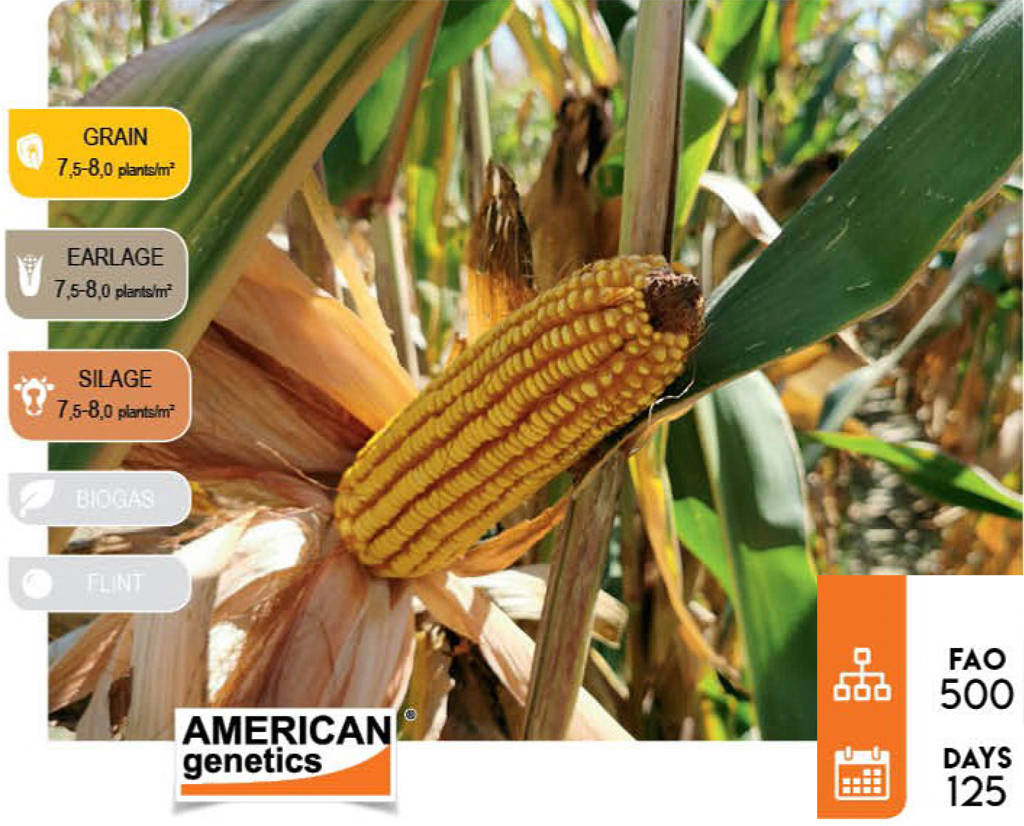agn551-corn